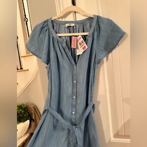 Blue Button-Down Dress